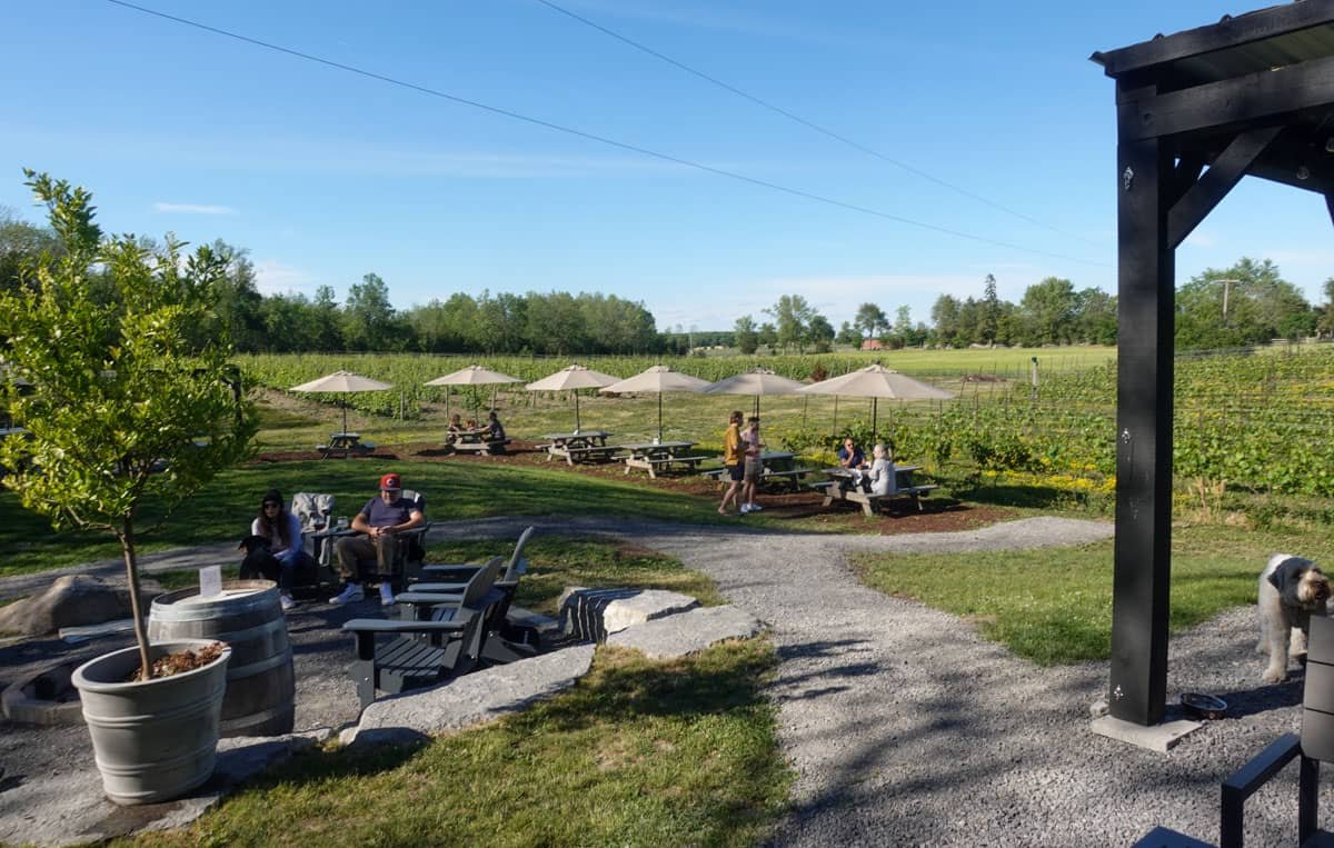 Discovering the Best Breweries in Prince Edward County