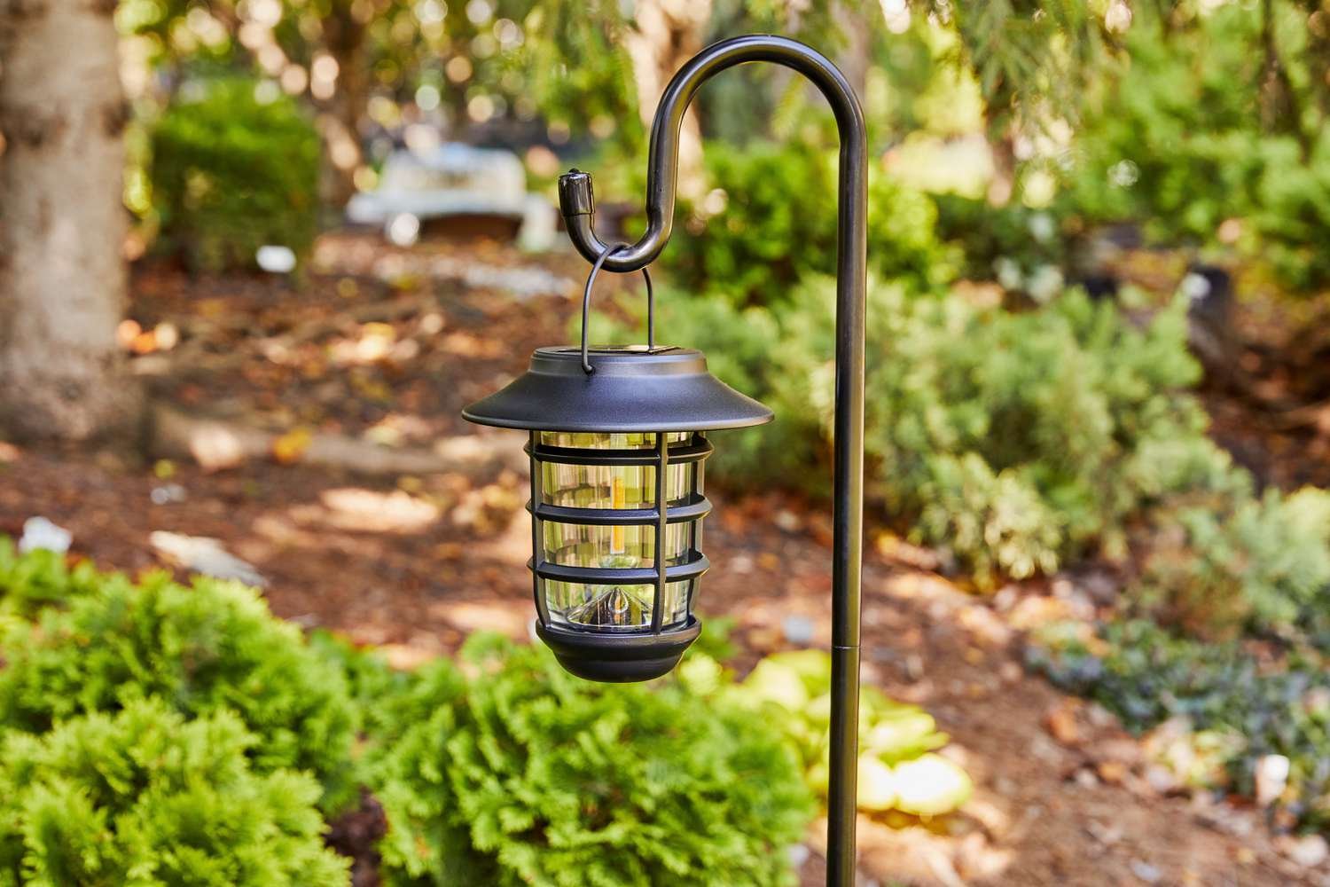 Solar Lights