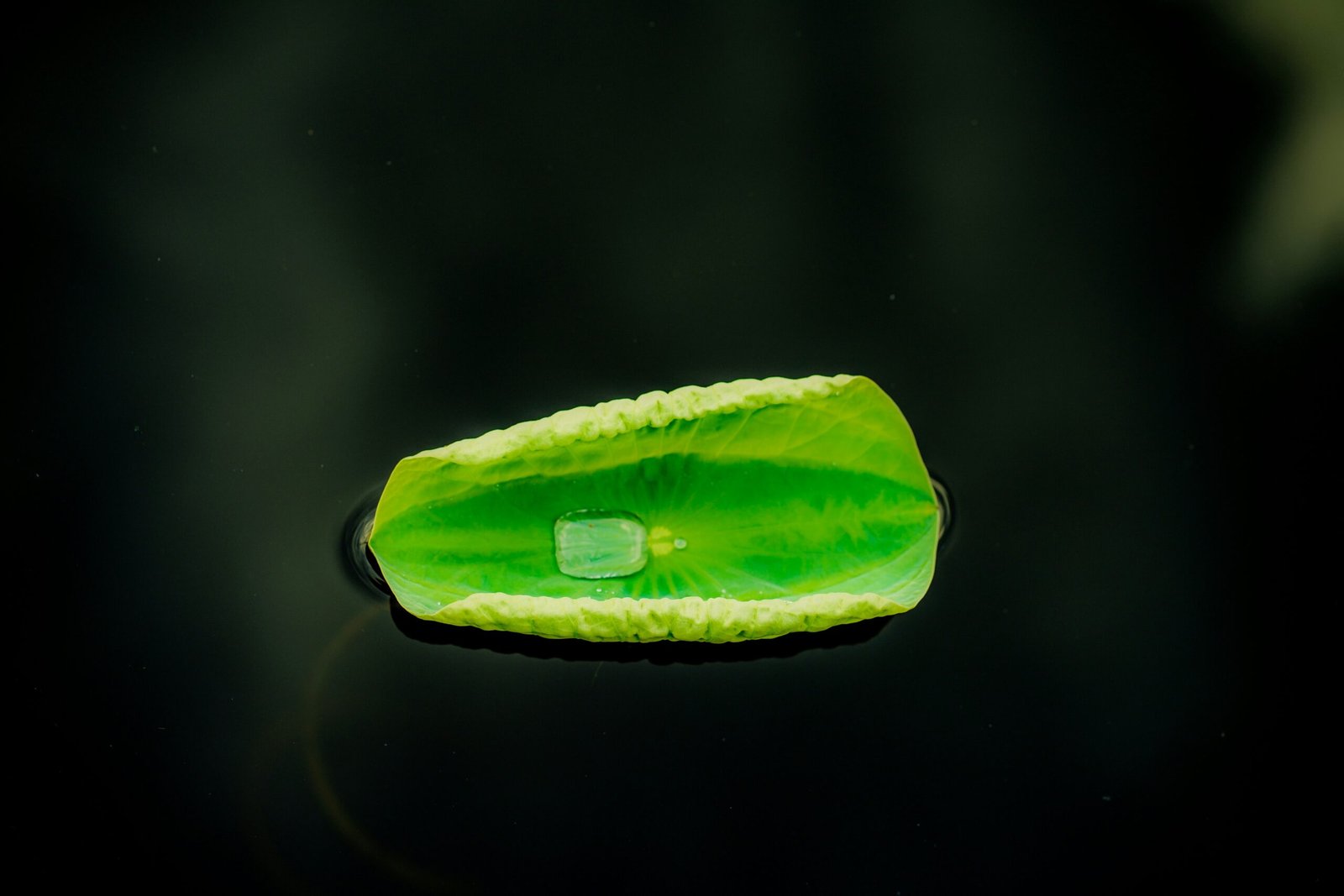 Jadeitový kameň: Rare Gemstone Known for Beauty and Meaning