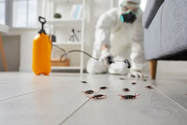 Why Timely Pest Control Is Crucial for Exterminating Pests Before Damage
